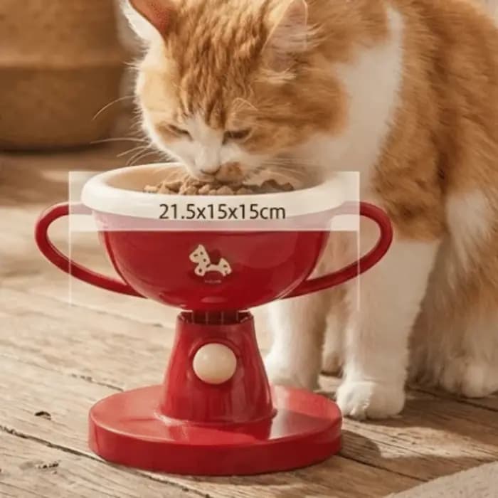 Bol à trophée créatif pour chat en céramique