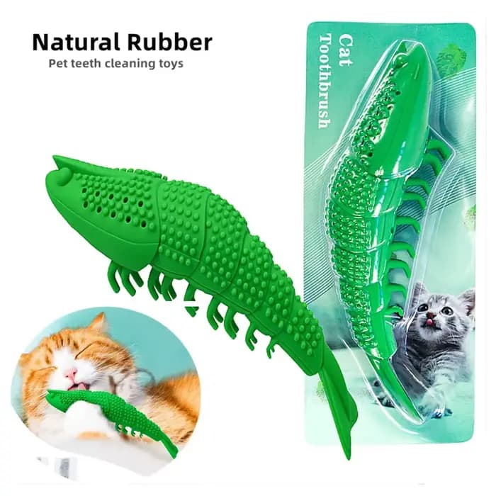 Jouets pour chat, brosse à dents