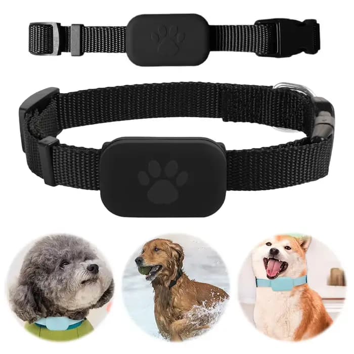Traqueur GPS étanche pour animaux de compagnie