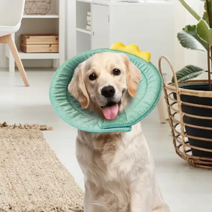 Collier réglable en forme de cône de chat