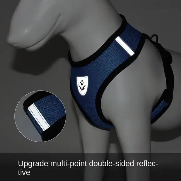 Harnais d'été pour chien et chat