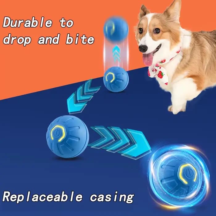 Balle rebondissante interactive pour chat