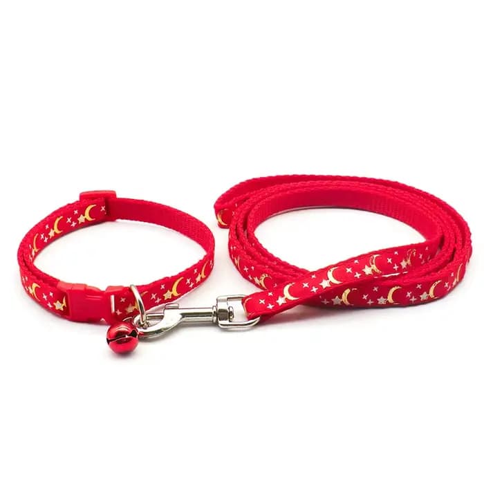 Collier pour chien et chat