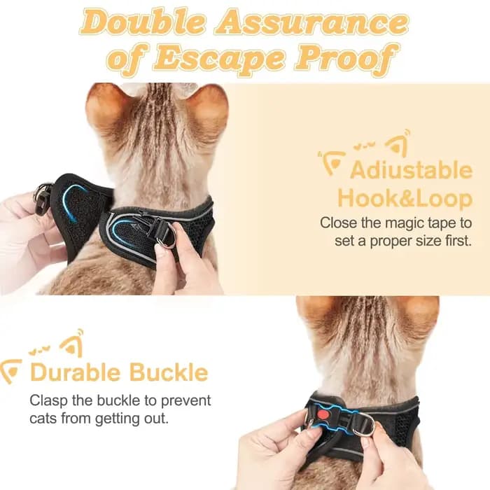 Harnais et laisse pour chat pour la promenade