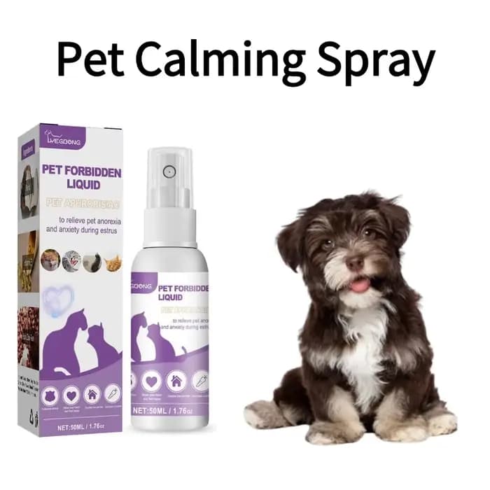 Spray apaisant sûr pour chiens et chats