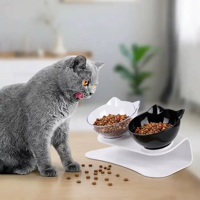 Bols doubles pour chats avec oreilles de chat mignonnes