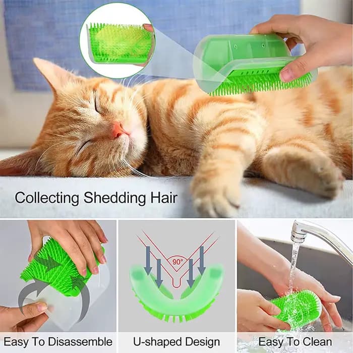 Brosse de massage pour chat