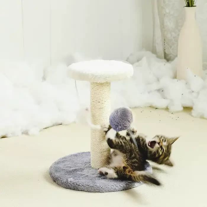 Tour d'arbre à chat, poteau à gratter