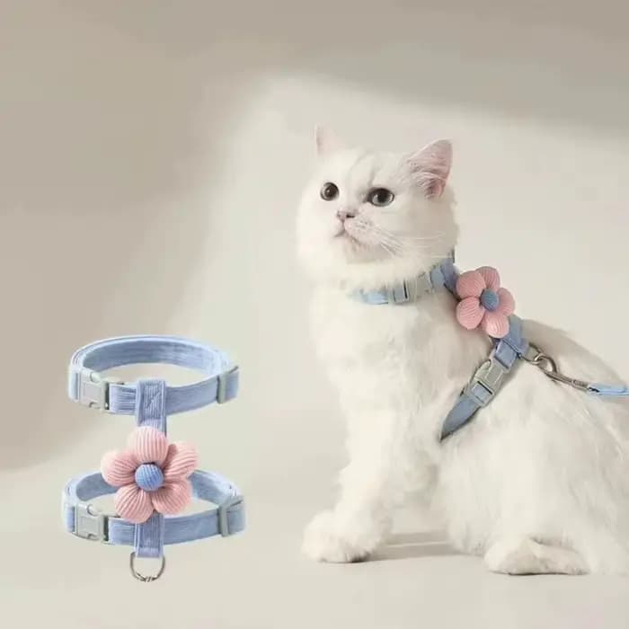 Ensembles de harnais et de laisse pour chat