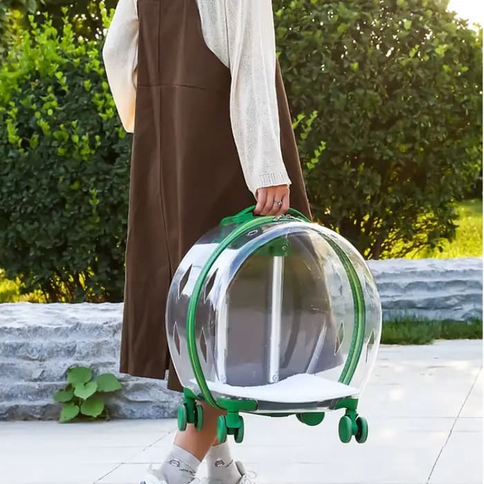 Chariot valise transporteur Transparent sac de transport pour animaux de compagnie chats transporteurs et poussettes