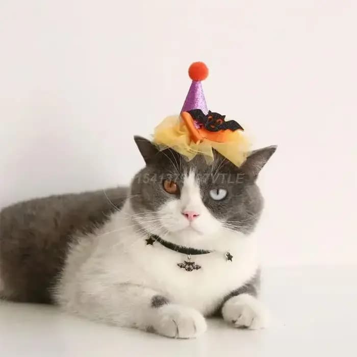 Collier de chat élastique simple et délicat
