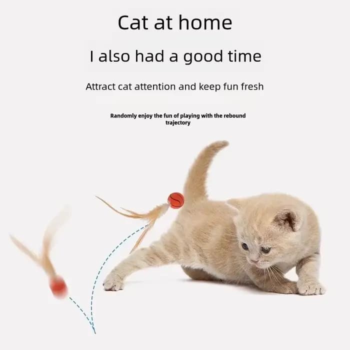 Balle rebondisnoyaux interactive pour chat