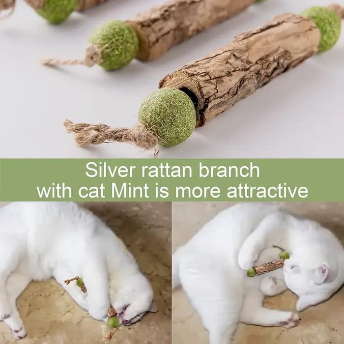 1 bâtonnet de nettoyage dentaire pour chat