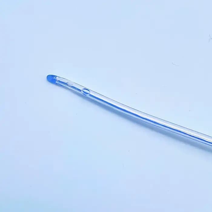 Tube d'alimentation nasogétrique pour animaux de compagnie