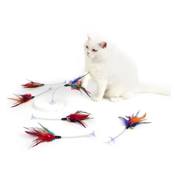 Jouet de printemps pour chat