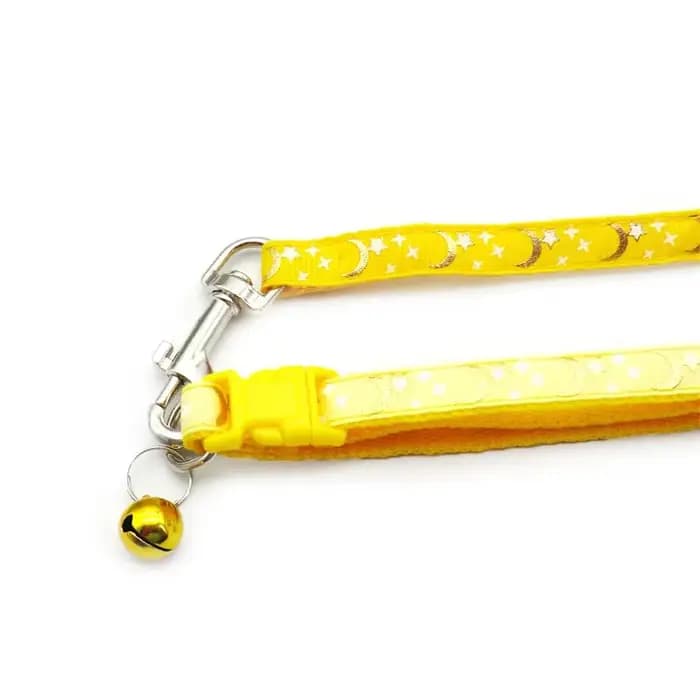 Collier pour chien et chat