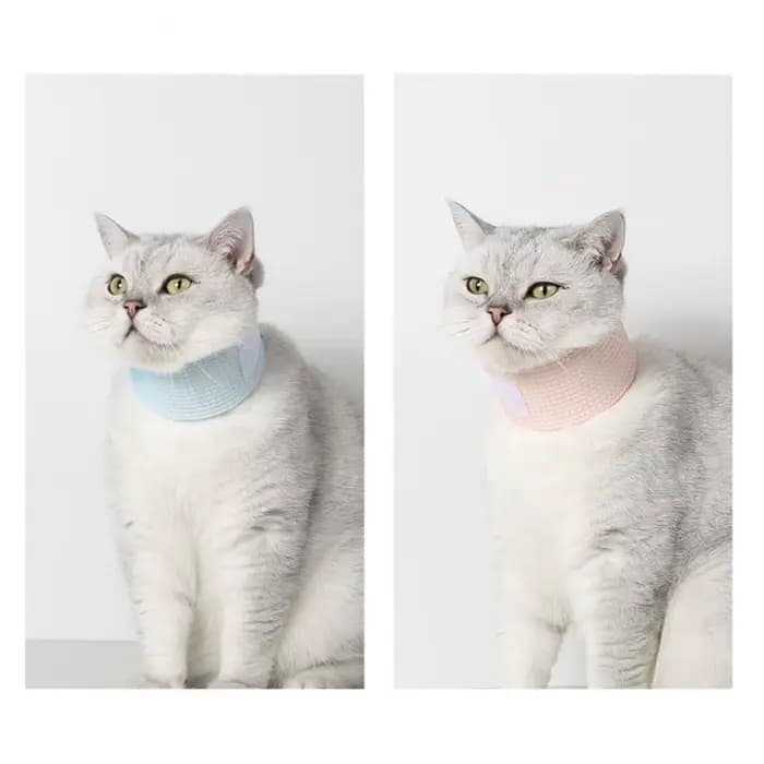 Collier de récupération en maille pour chat