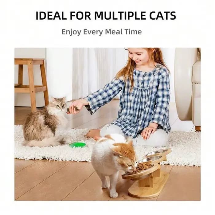 Mangeoire et abreuvoir pour chat