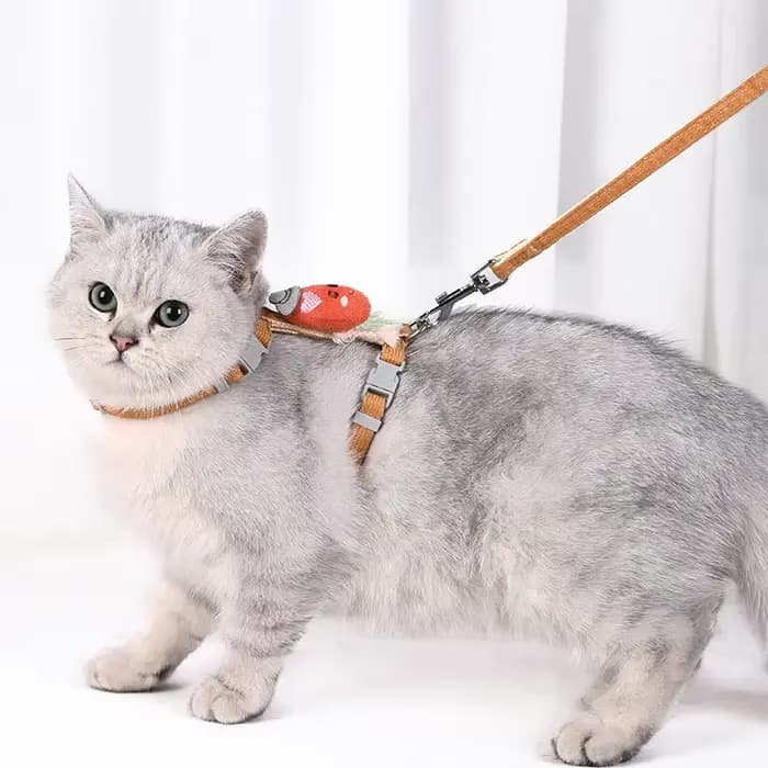 Harnais et laisse pour chat réglables