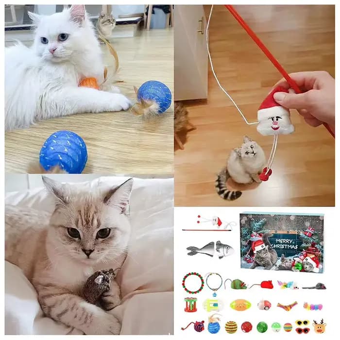 Calendrier de l'Avent de Noël pour chats