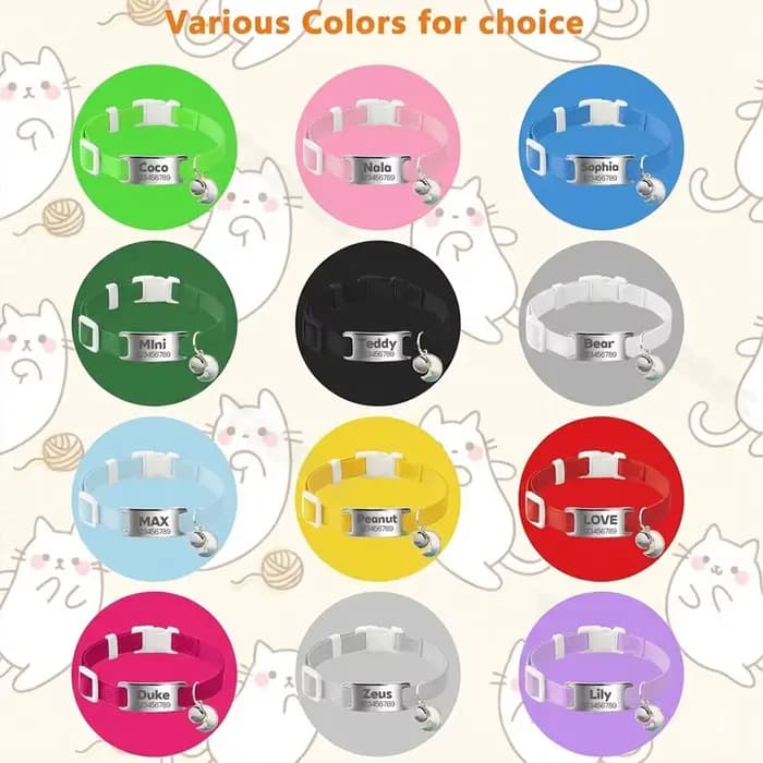 Collier élastique personnalisé pour chat
