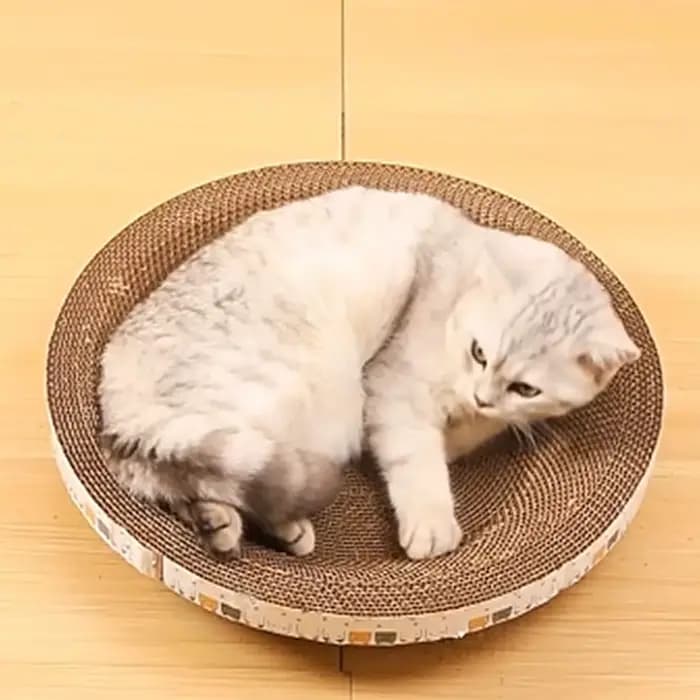 Jouets pour chats de taille L