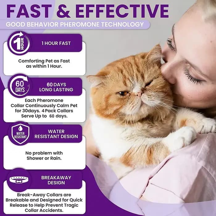 Collier apaisant pour chats