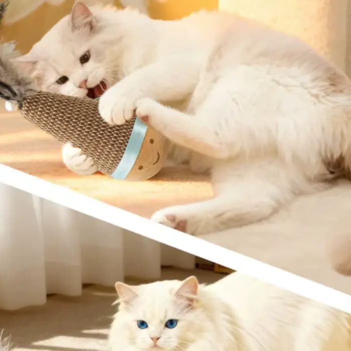 Gobelet Wobbler jouets pour chat résistant aux morsures jouet à mâcher plume Agave nettoyage des dents interactif