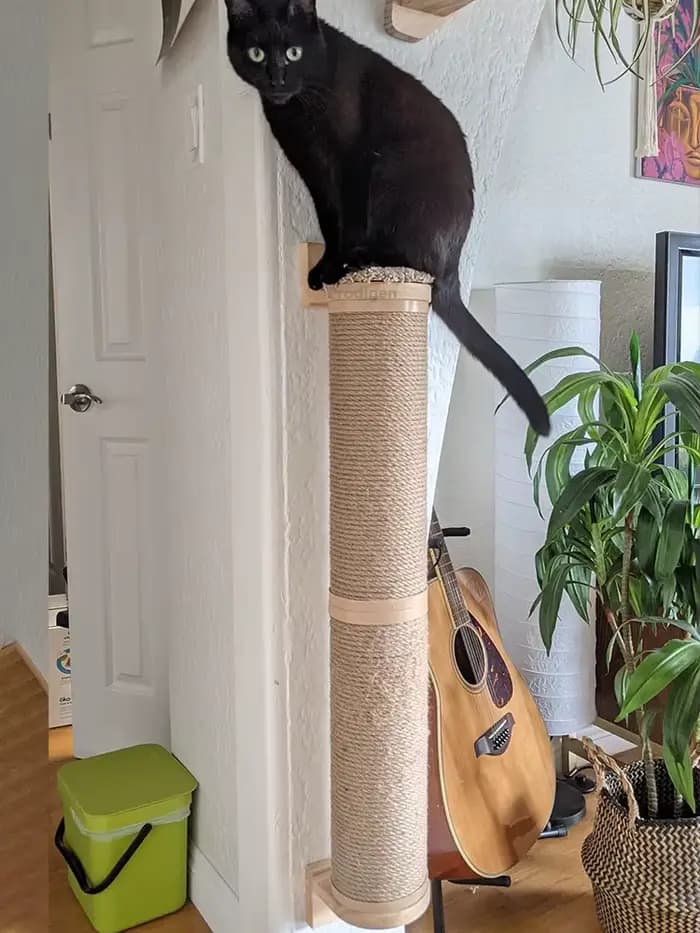 Poteau à gratter mural pour chat