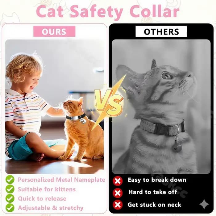 Collier élastique personnalisé pour chat