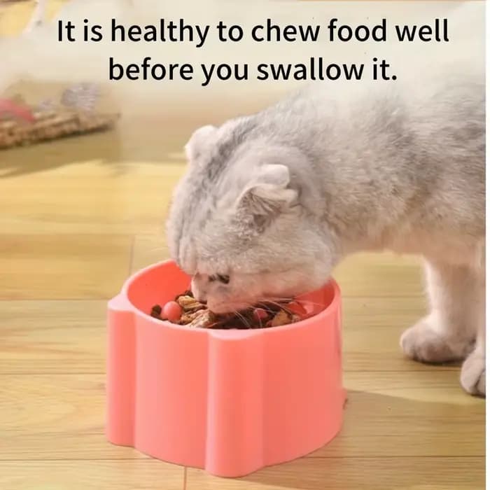 Bol de nourriture pour chat