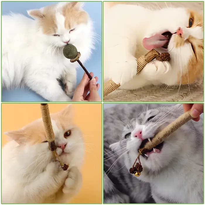 Silvervine Bâtons à mâcher pour chat