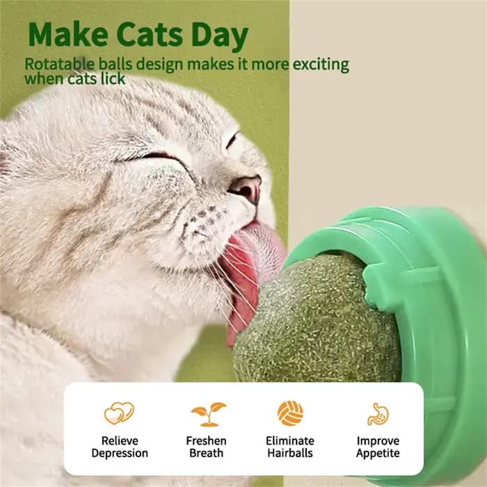 Boules d'herbe à chat naturelles