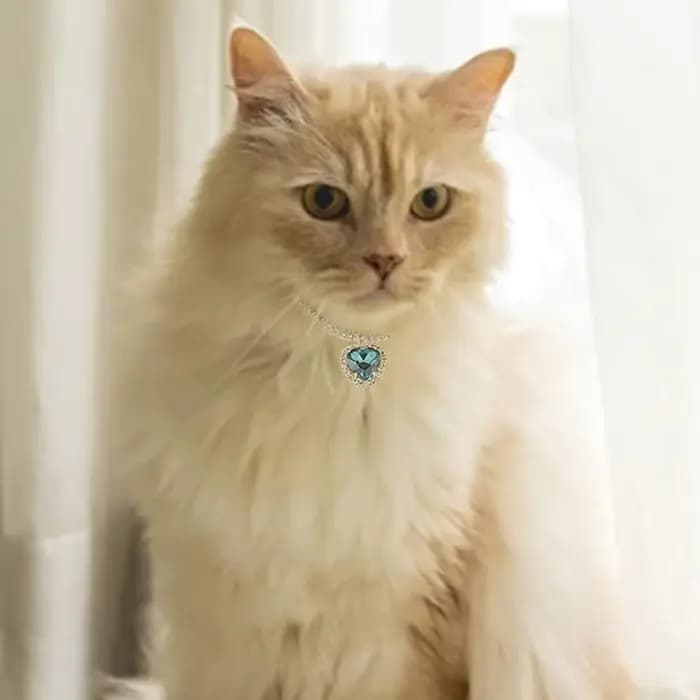 Collier pour chat en strass et diamant