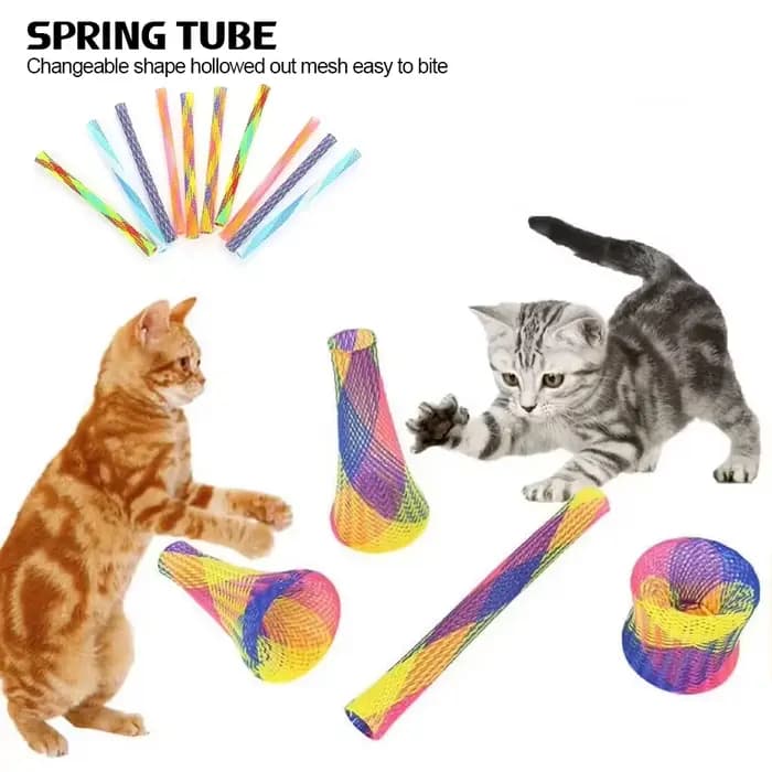 Jouets à ressort pour chaton et chat