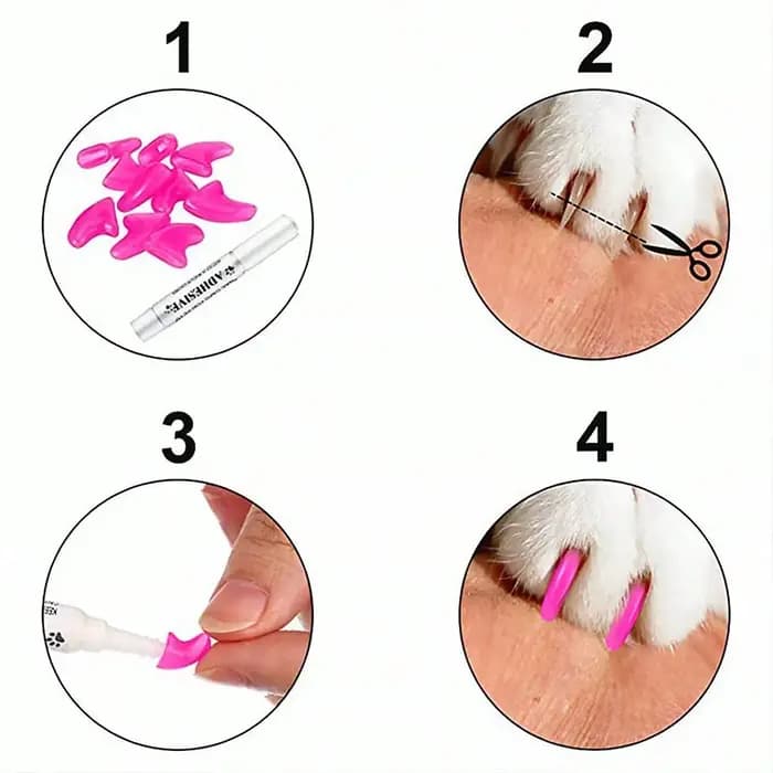 Bouchons d'ongles souples pour chats