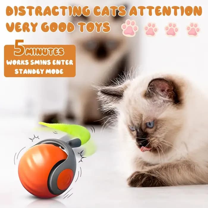 Nouveau jouet pour chat Speedy Tail 2.0