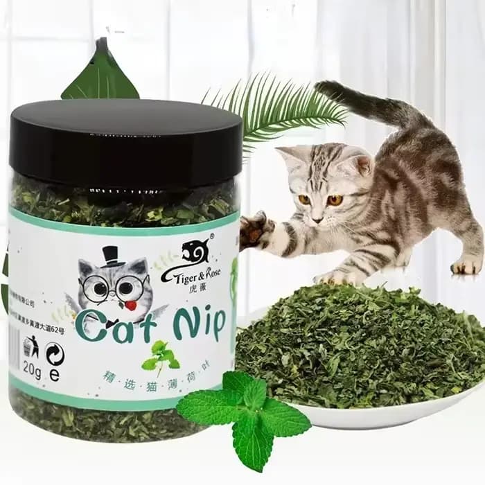 Jouet pour chat interactif en herbe
