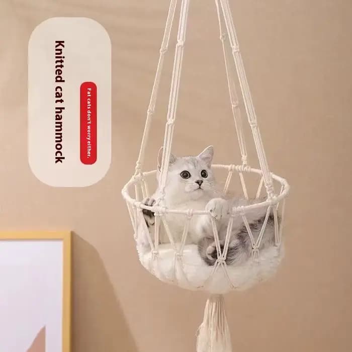 Perche de fenêtre pour chat d'hiver