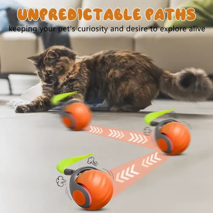 Nouveau jouet pour chat Speedy Tail 2.0