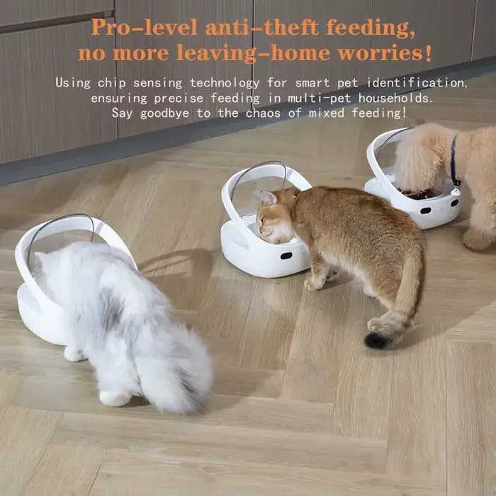 Nouvelle gamelle Petoneer NutriCare conçue pour les foyers multi-animaux