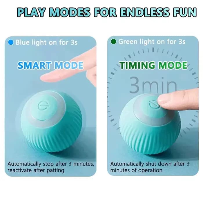 Balle Magique Interactive pour Chat