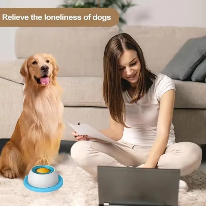 Nouveaux articles pour chiens : Jouets anti-renversement pour animaux de compagnie