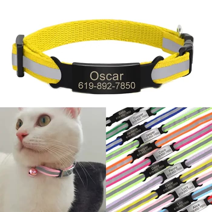 Collier réfléchissant pour chat gravé