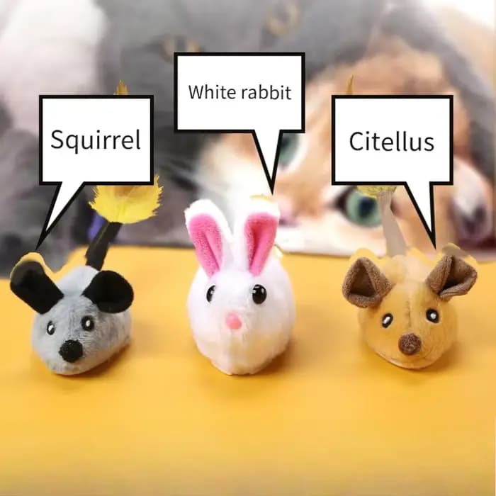 Jouet interactif pour chat