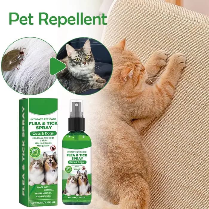 Spray anti-puces et tiques pour chiens et chats 100ml – Anti-puces