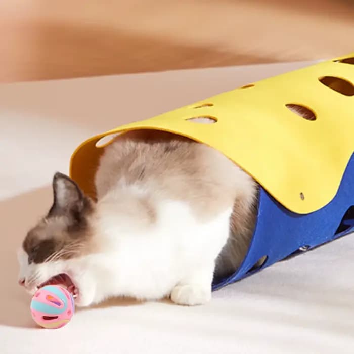 Cloche balle chat jouets chaton coloré jouer