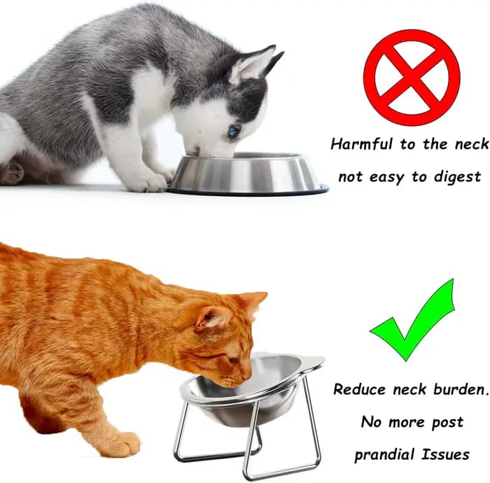 Bol pour chat en acier inoxydable