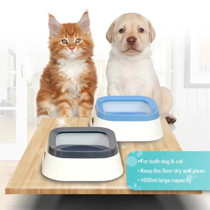 Bol d'eau potable pour chien