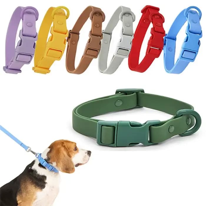 Collier de chien à sangle élastique